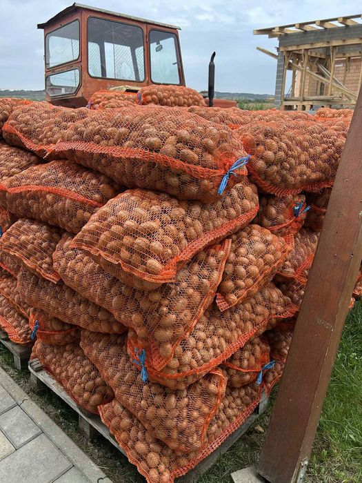 De vanzare cartofi pentru animale