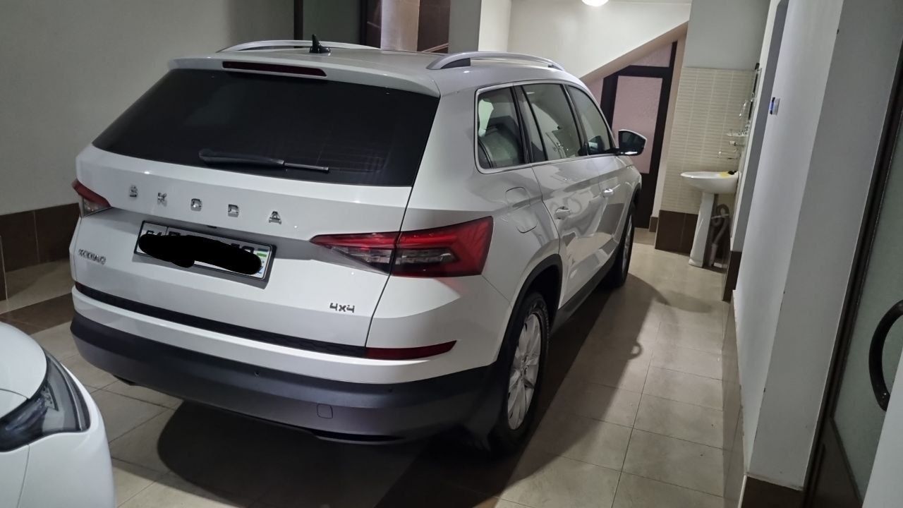 Skoda kodiak oq rang