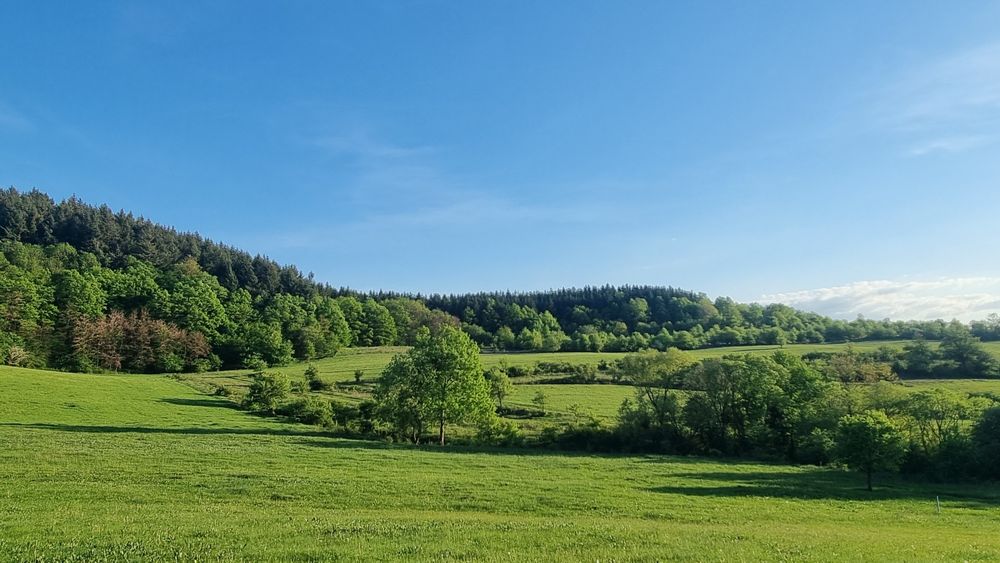 Vand 6600 mp teren extravilan Sumurduc (Sinpaul)