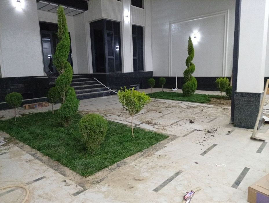 Archa Va gazon Lanshaft xizmatlari bor