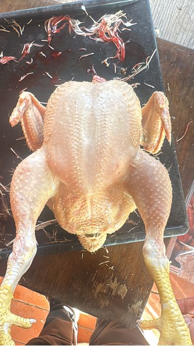 Мясо бройлерных кур