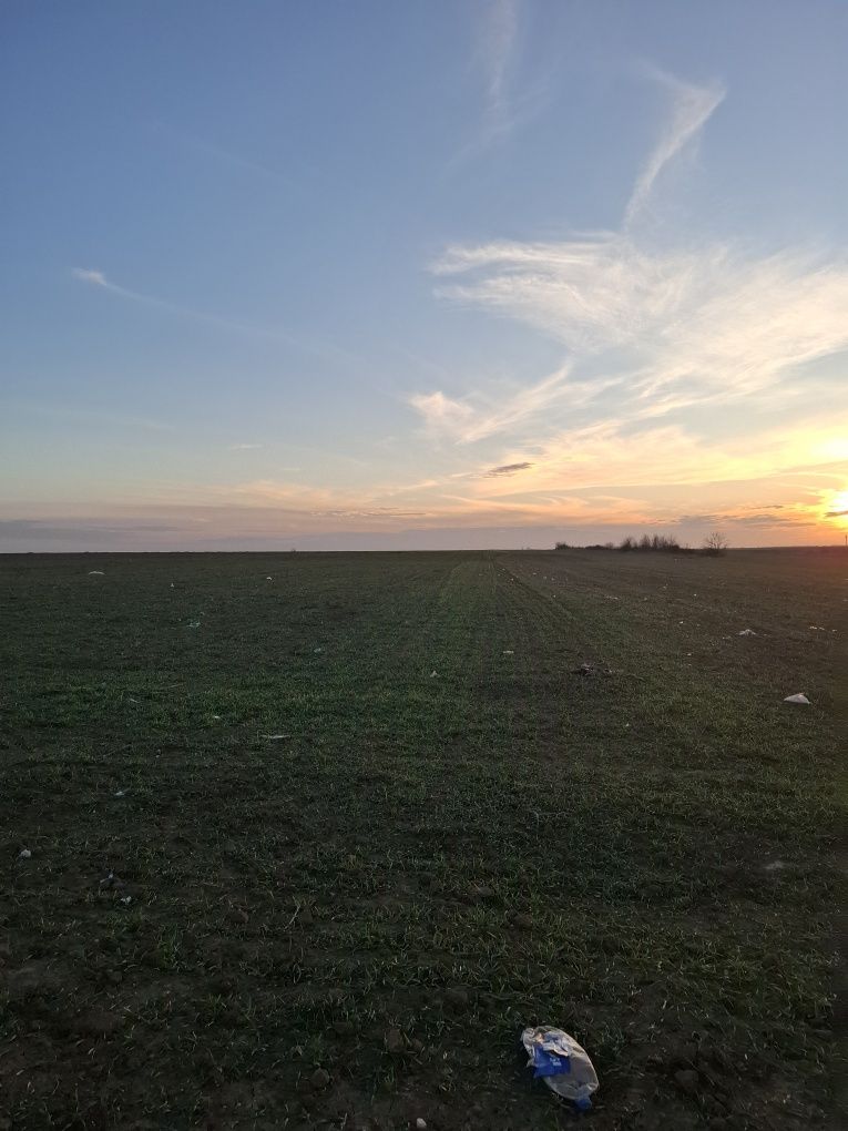 Teren de Vânzare Adunatii Copăceni