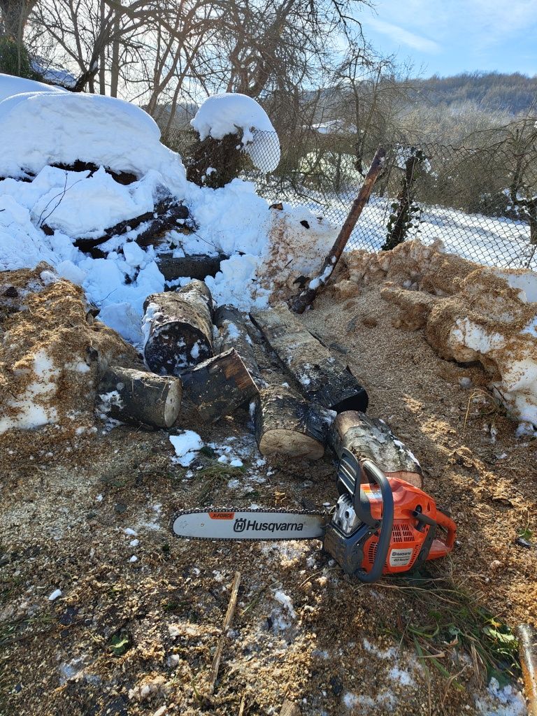 Поваляне, рязане и цепене на дърва