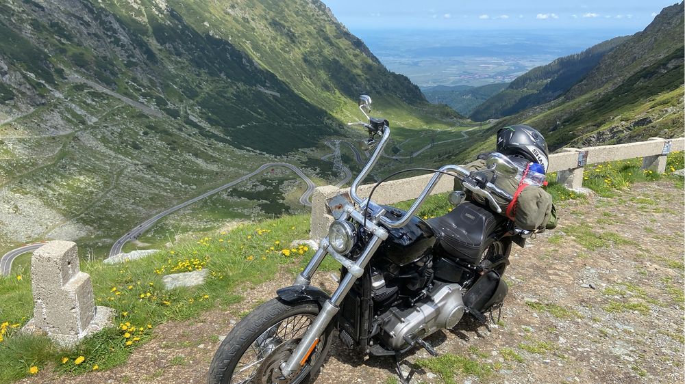 Harley Davidson softail standard