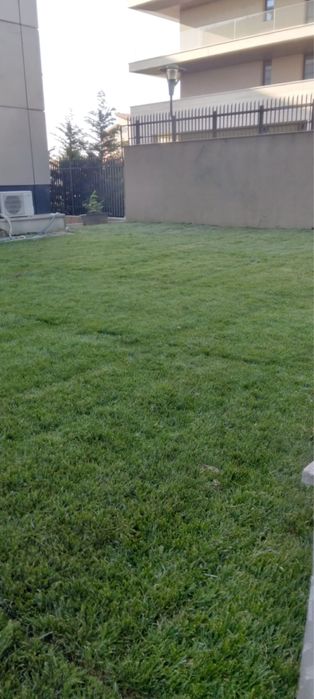 Gazon rulou calitatea 1