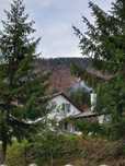 Închiriez cabana la Piatra-Fântânele, jud. Bistri