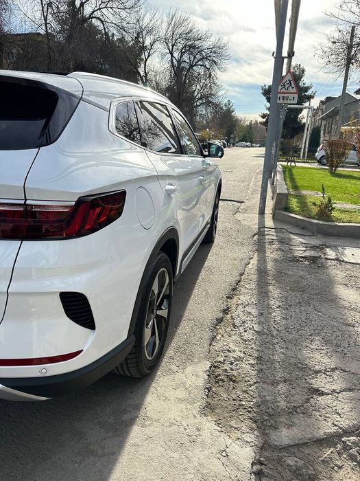 BYD song puls fleship