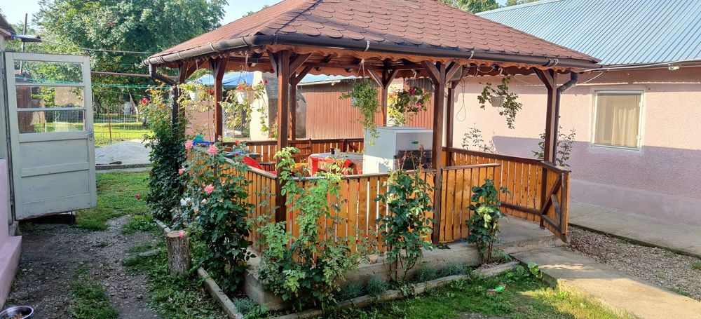 Vând casă cu curte