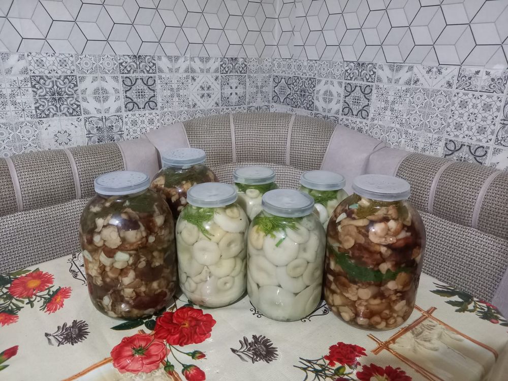 Соленье , грибы на заказ!