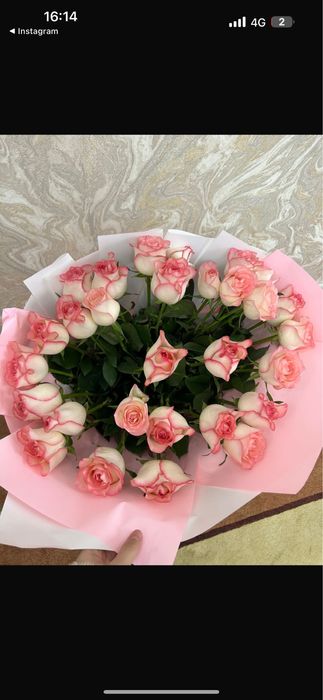 31 роза 7000тг свежий огромный самал-3 мкр