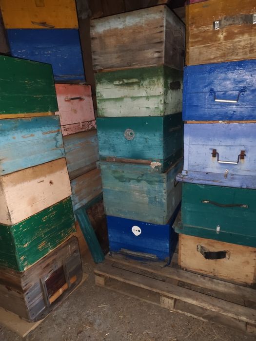 Прадам ульи бу дадан!