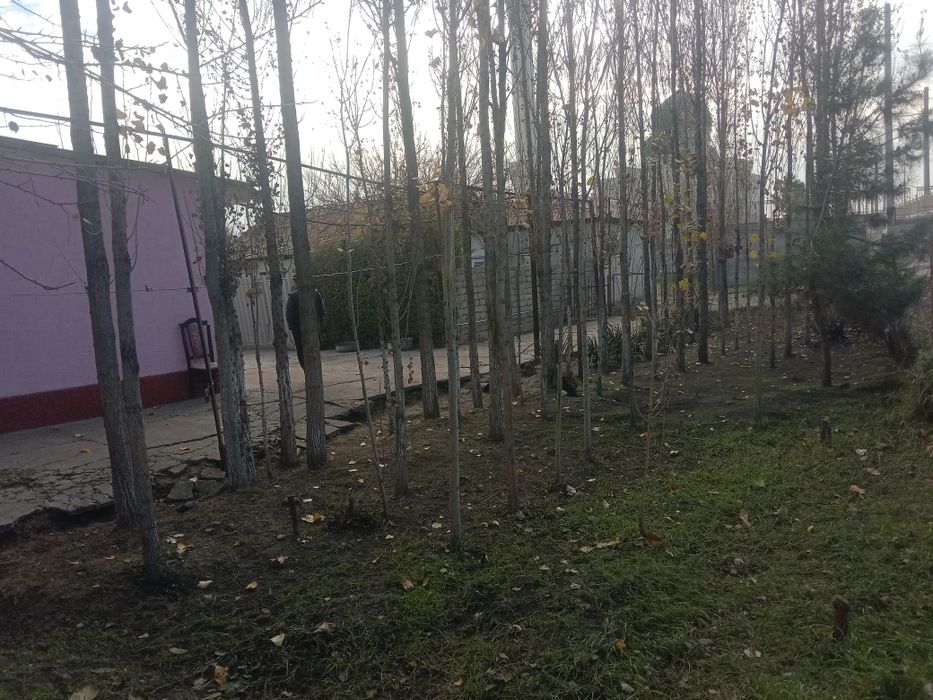 Тайор 15 сотихли хонадон срочна сотилвотти