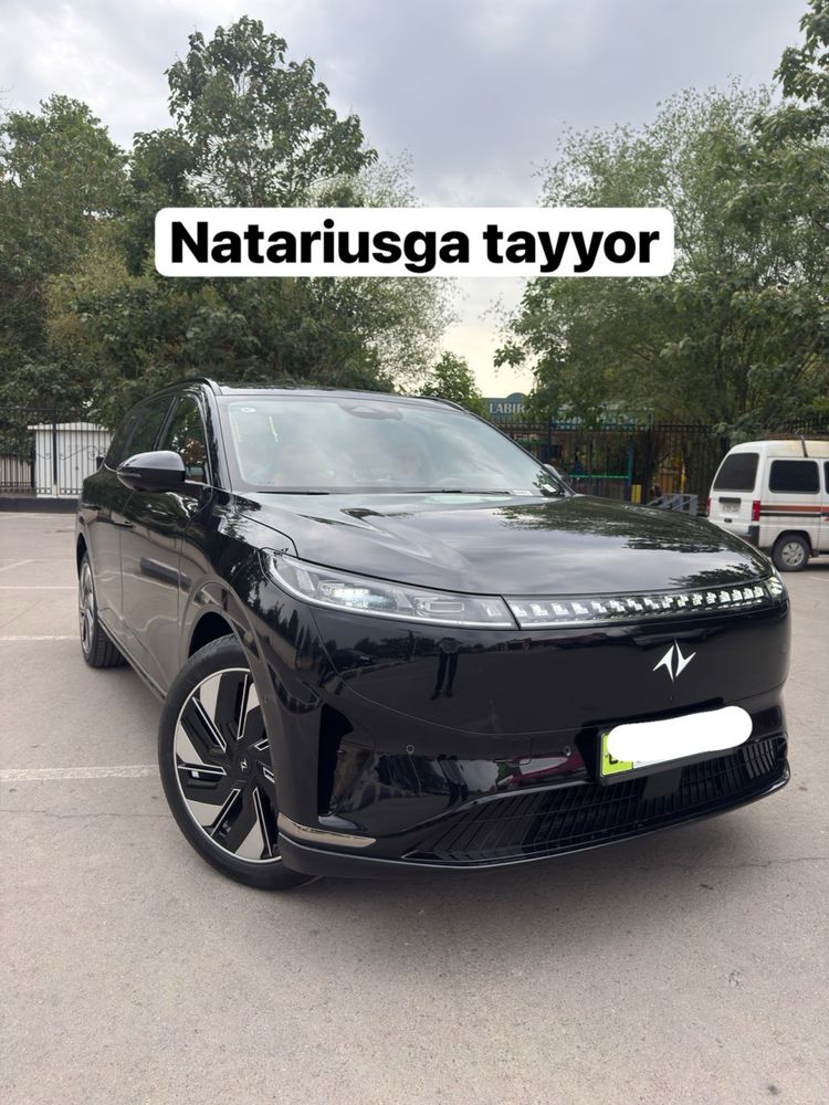 Dongfeng 008 ultra natarius