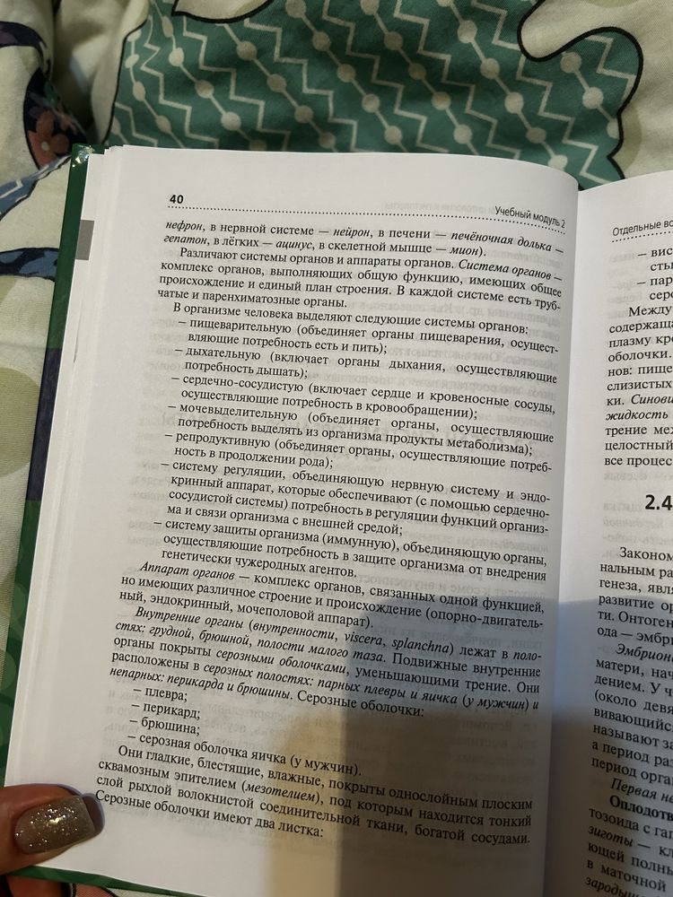 Дождевик и ботиночки для собак мелких пород