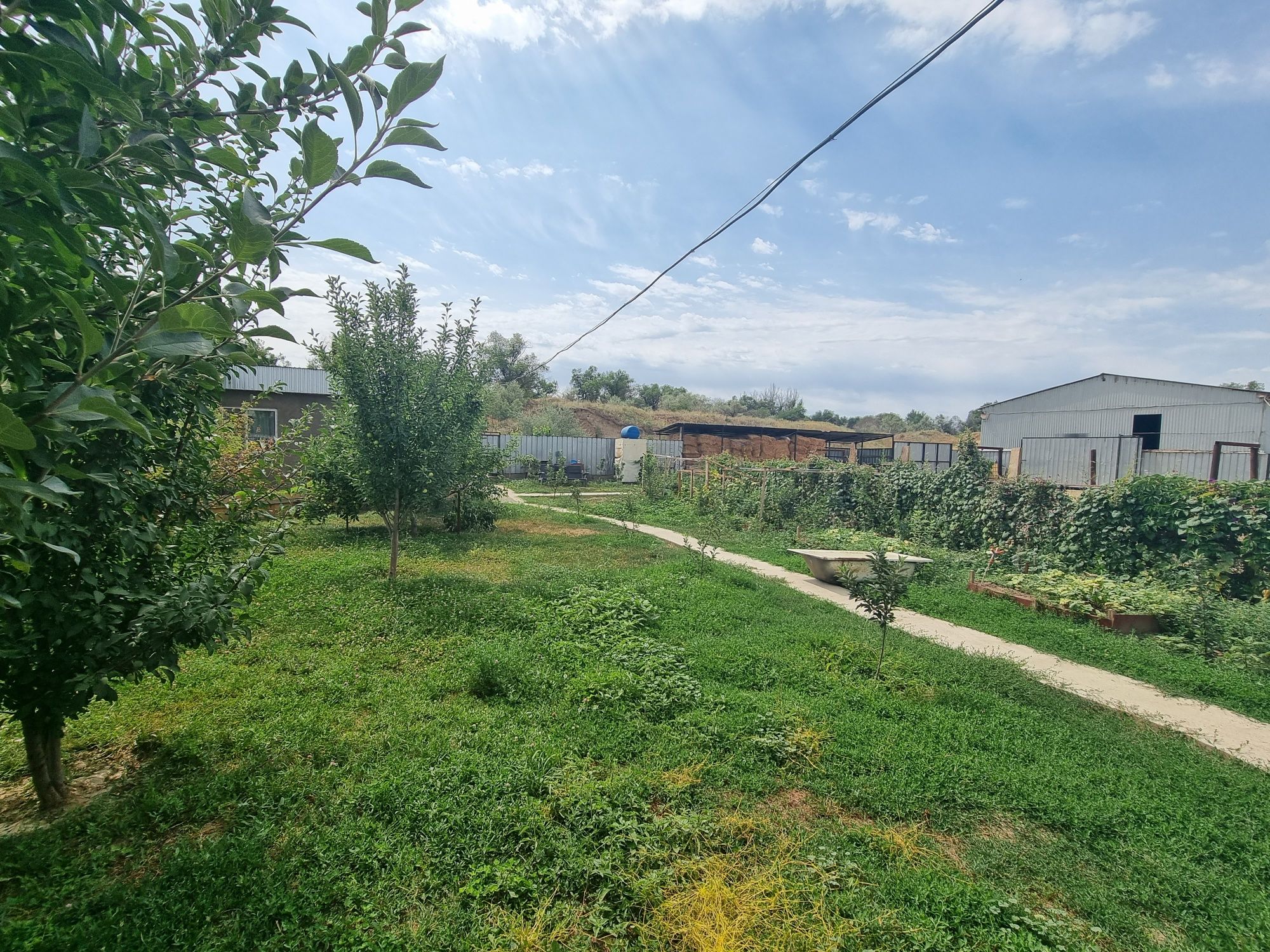 Дом+Ферма КХ, фазенда в пригороде Алматы