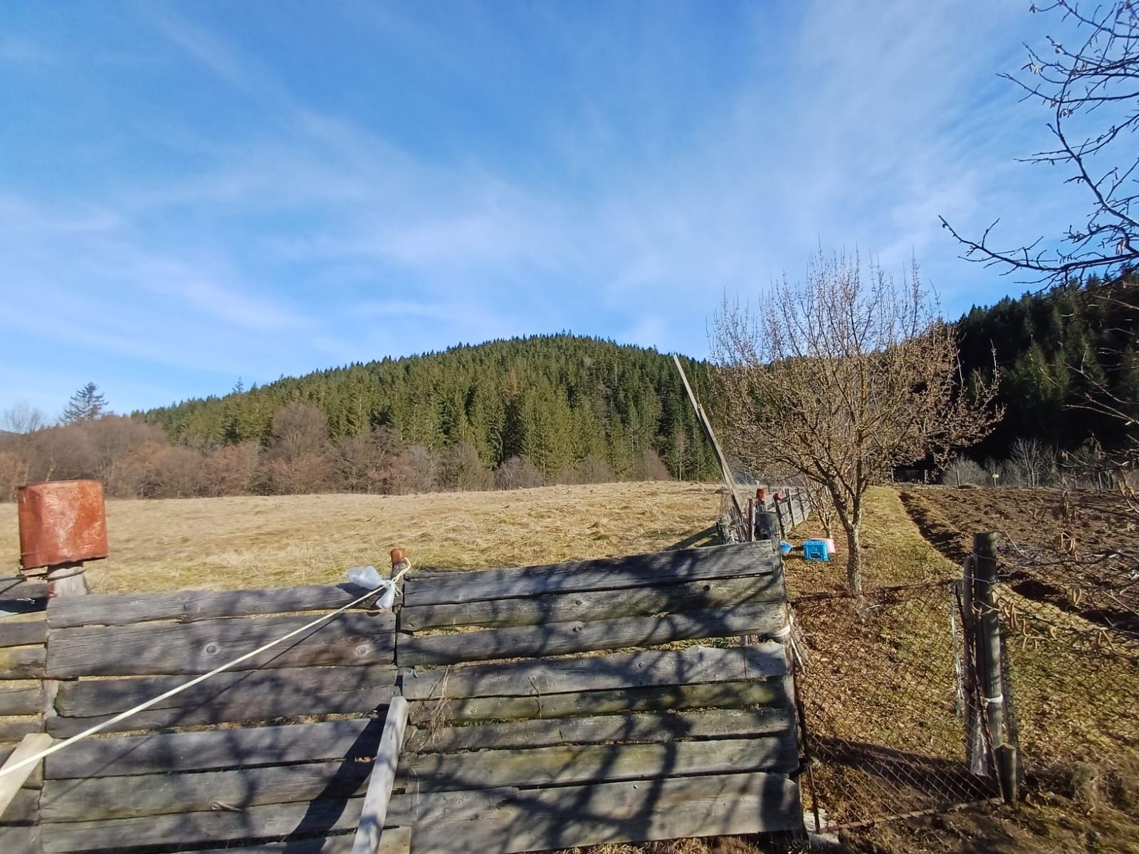 Casa vanzare judet Neamt