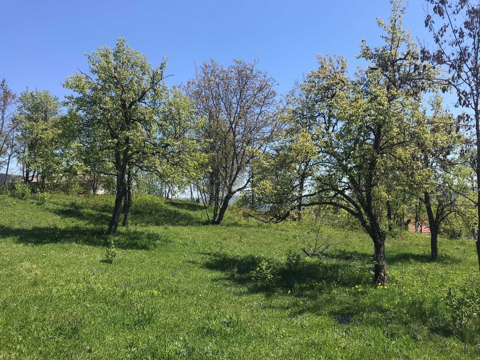 Teren intravilan zona de munte - Albestii de Muscel (Arges)