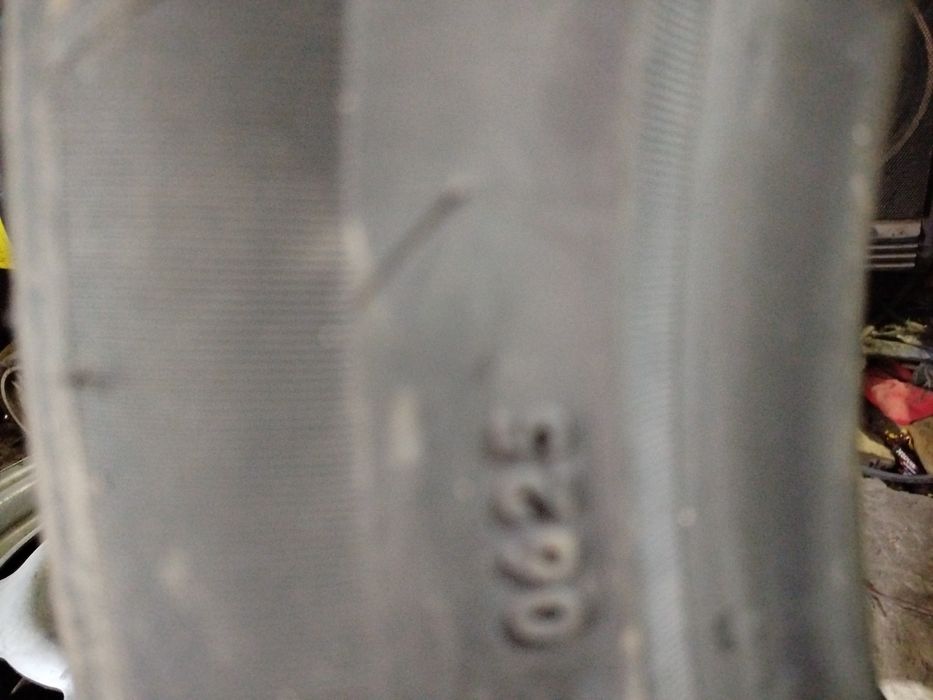 Продам шины Бивай ди19новинка