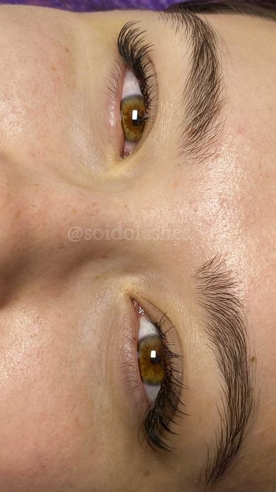 Caut model pentru extensii de gene