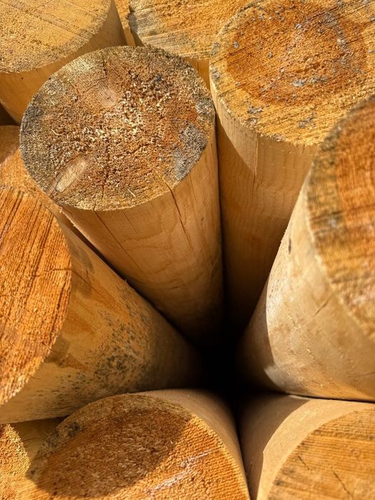 Оптом/дона тахта, турли хил размер, арзон нархрларда, доставка мавжуд!