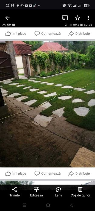 Gazon rezistent și ușor de întreținut – Livrare în toată țara