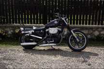 Harley Davidson XL883 2004