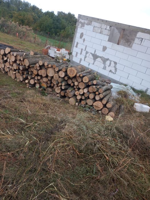 Lemne de foc, stejar