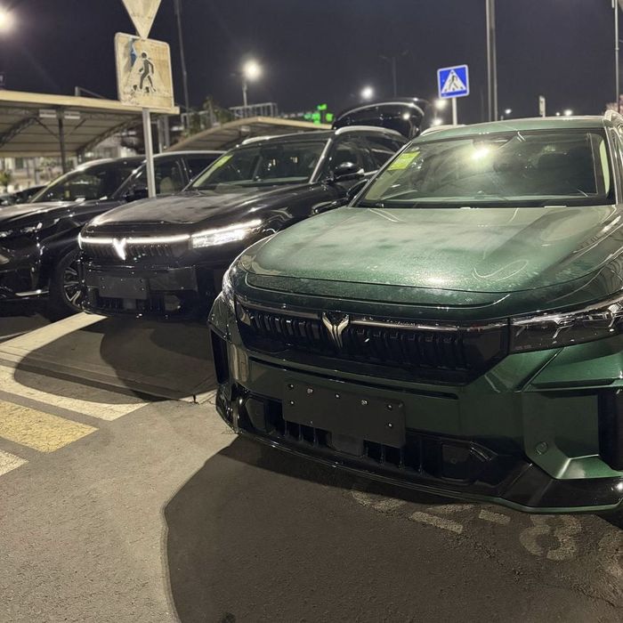 Voyah free 210km 2024 йил