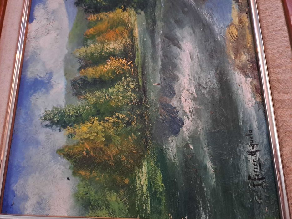 tablou pictura pe pfl 72/52 cm semnat Ferrer Miguel