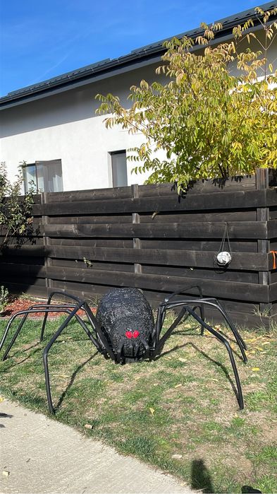 Paianjen urias decor Halloween