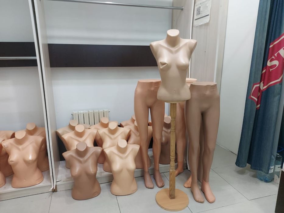 Ағаш уй,алоэ,манекен,шкаф