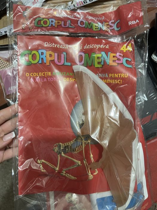 Corpul omenesc set (schelete impreuna cu organe) colectia Libertatea