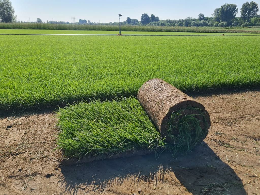 Amenajare gradina cu gazon rulou si sistem irigați (de udat)