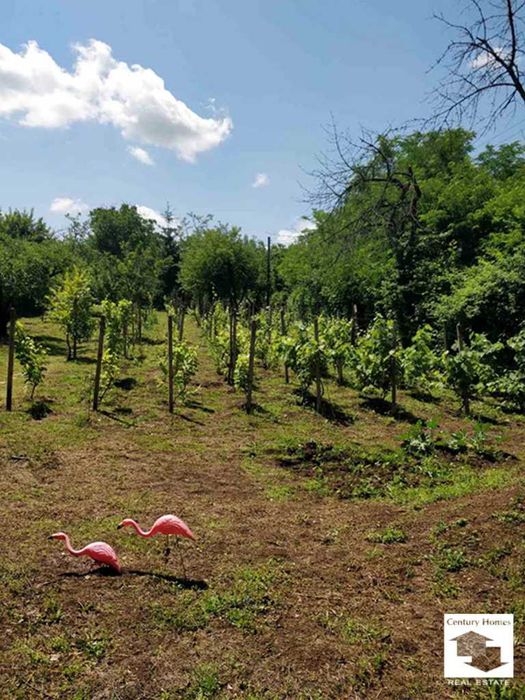 Продава се Парцел в Велико Търново, Бузлуджа - 1121 кв.м за 108 €/кв.м - Снимка #8