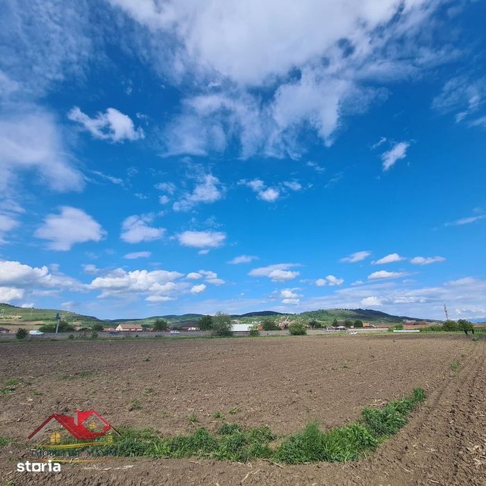 Imobiliare Maxim  teren extravilan Gușterița