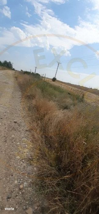 0% Comision !!!  Teren Intravilan - Bradu