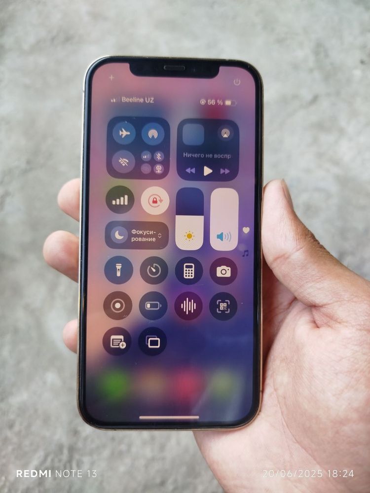 Iphone 12 pro radnoy