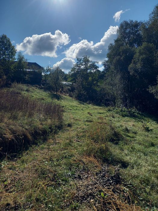 Teren de vanzare - zona linistita, pitoreasca, jud. Arges