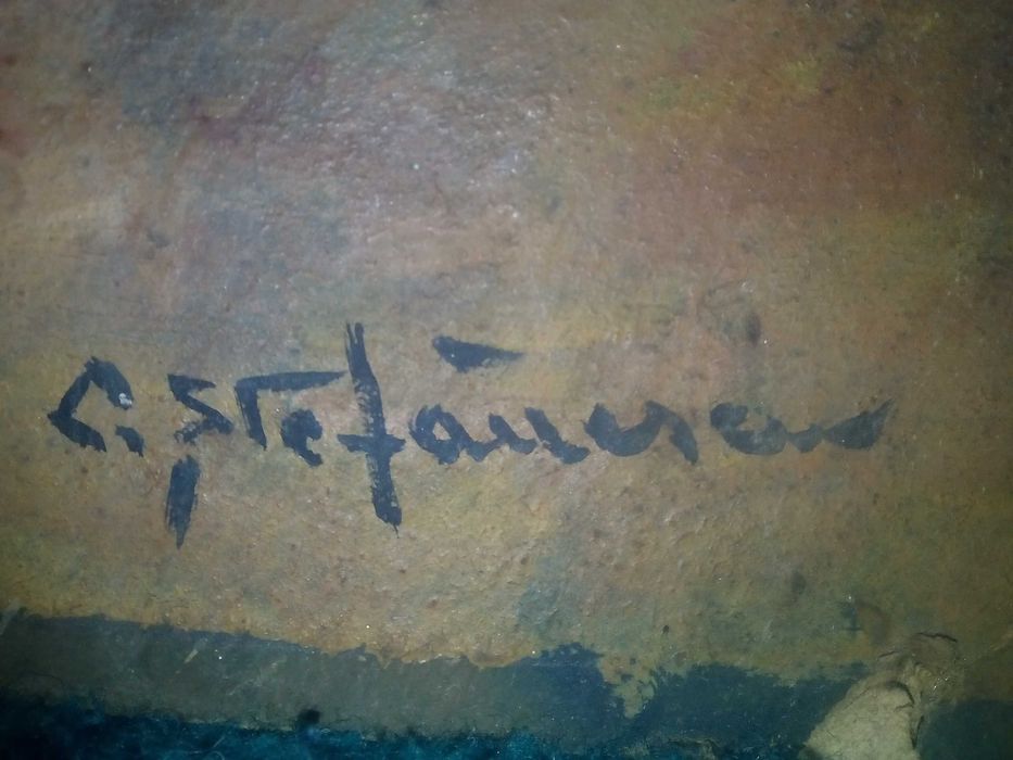 Tablou semnat C.Stefanescu vechime de minim 75 ani