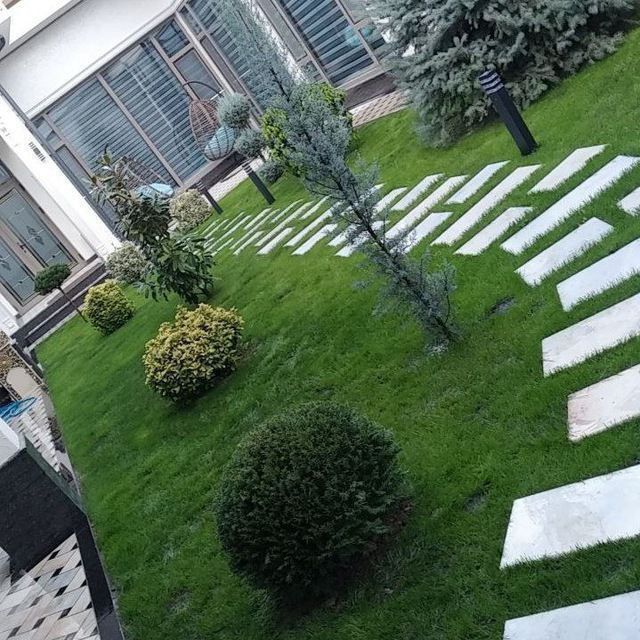 Landshaft oʻsimliklari