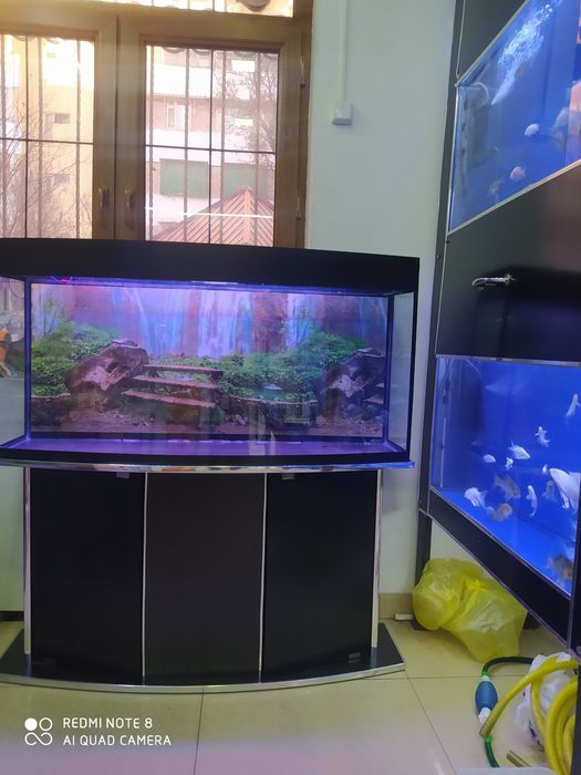 Akvarium 200 litrlik Avalniy