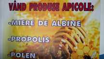 Miere si produse apicole