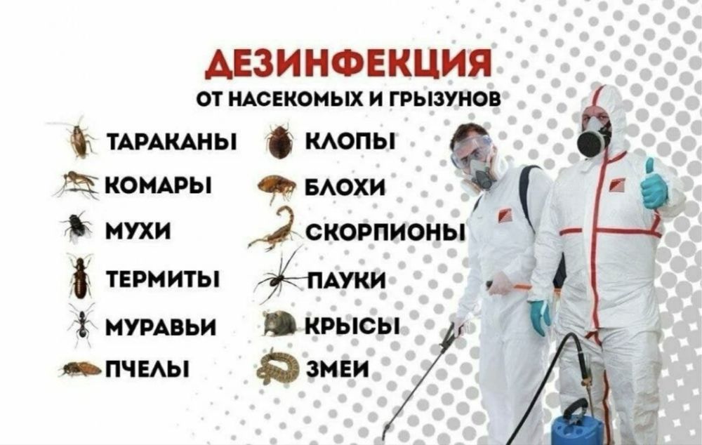 Дизенфекция 24/7 с гарантией