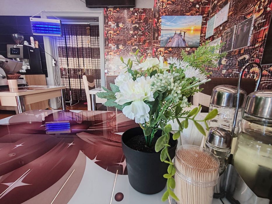 Utilaje HoReCa profesionale pentru afacere la cheie, fast-food, 9000 e