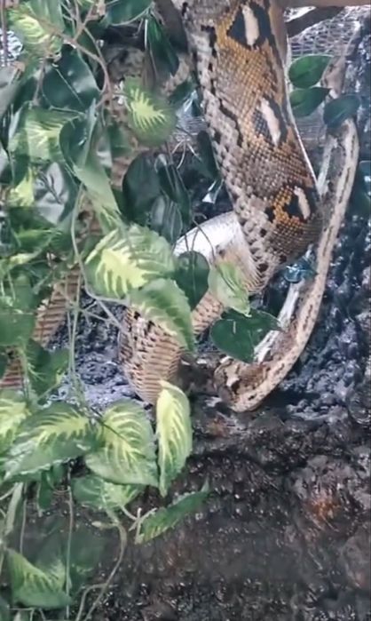 Обмен или продажа сетка 7 метровая