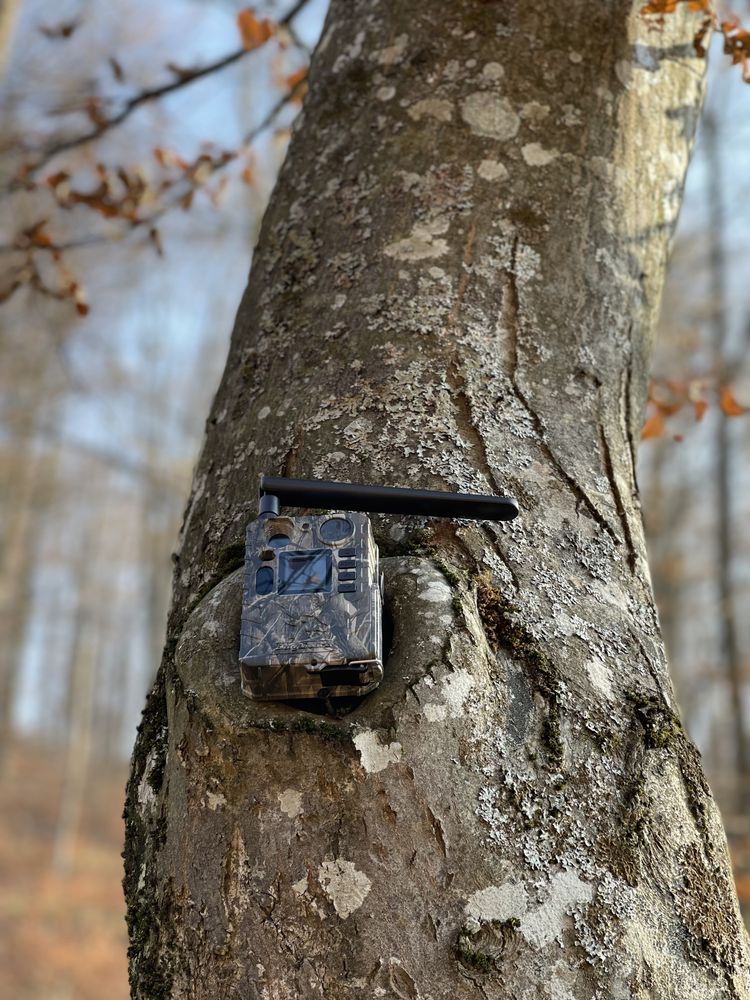 Bg710 MFP 4G Forest Camera Vanatoare 24Mp