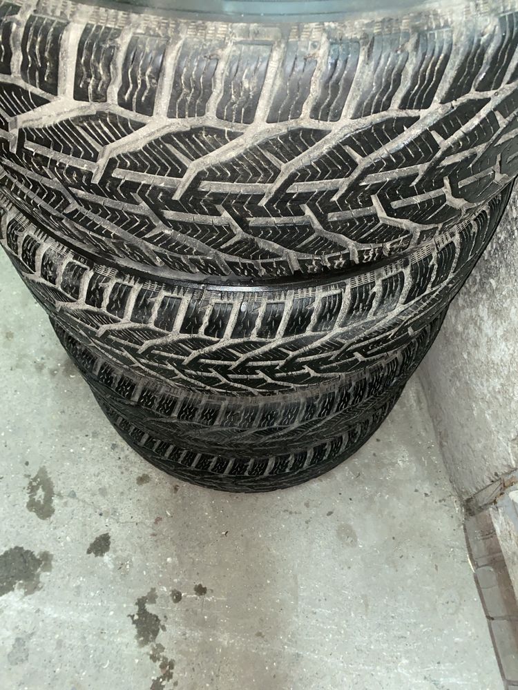 Tigar Winter 225/55 R16