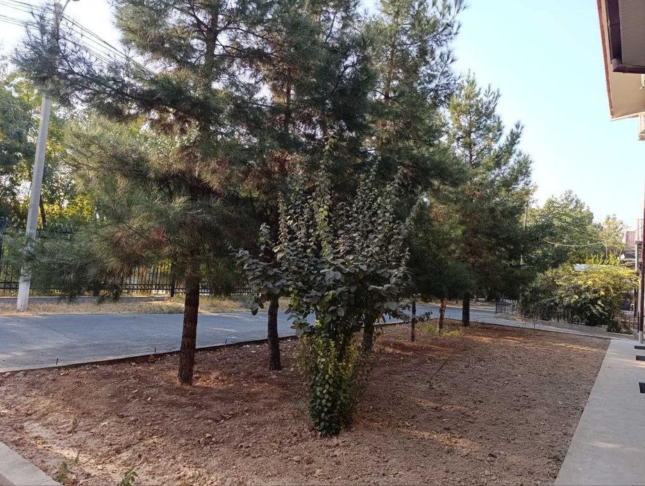 Продается Дом возле парковой  зоны   в Мирзо улугбекском  районе