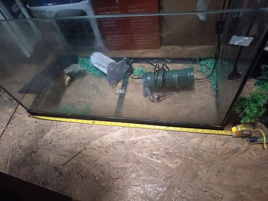 Acvariu pești sau broscute