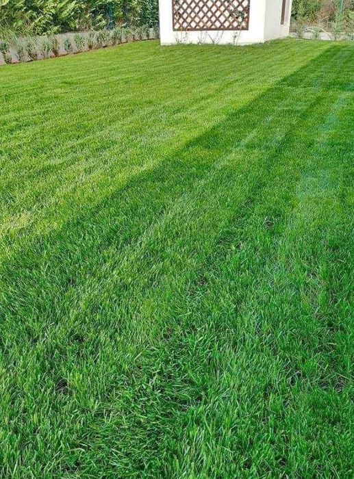 Gazon Rulou sisteme de irigatii